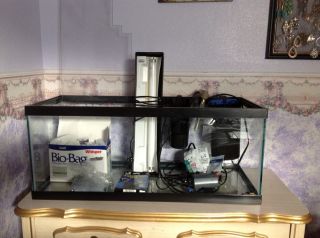 20 Gallon Fish Tank W bubbler Heater Lid Theometer 2filters And Filter
