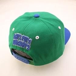 HARTFORD WHALERS NCAA CUSTOM SNAPBACK HAT CAP WHALE GREEN/BLUE