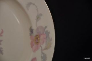 Epiag Pastelle Dinner Plate Smooth Rim Cream Czechoslovakia Porcelain