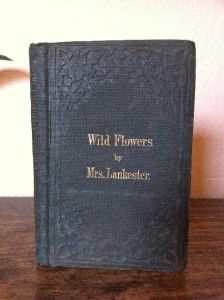  Their Beauty, Uses, or Associations; Mrs Lankester Robert Hardwicke