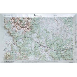 WILLIAMS REGIONAL Raised Relief Map in the state of