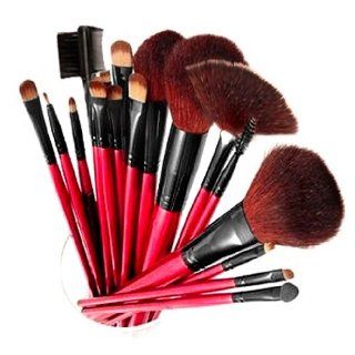 SHANY Professional 13 Piece Cosmetic Brush Set with Pouch