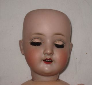 Antique Schoenau Hofmeister 17 Bisque Head Doll 1909