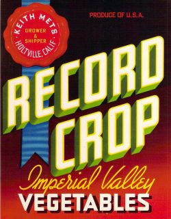 Record Crop Vintage Vegetable Crate Label Holtville CA