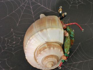Tropical Hermit Crab Sea Shell Snail Figurine Knick Knack Pet