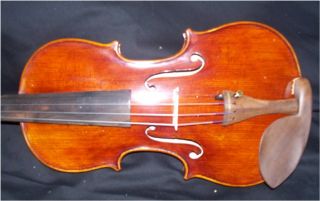 The violin is setup and ready to play, all you need is to tune it.