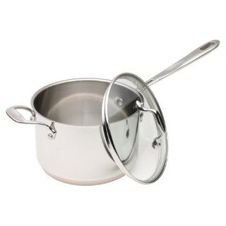 Emeril Stainless 3 Quart Covered Saucepan with Loop Handle