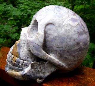 Powerful Purple Bishop Jasper Hand Carved Crystal Skull