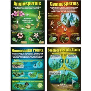 Teaching Poster Set Types of Plants; no. MC P206
