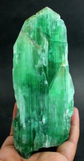 358 Gram Superb Quality V Shape Hiddenite Kunzite Crystal with Green