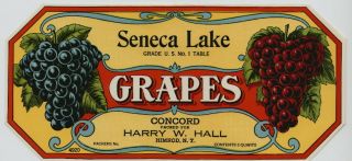 Seneca Lake Vintage Himrod Finger Lakes NY Grape Label