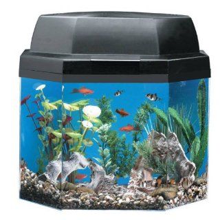 Kollercraft AquaBrite Fish Aquarium with Light and Filter