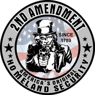 GUN OWNER   2nd Amendment ORIGINAL HOMELAND SECURITY DECAL sticker