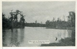 GA Billys Lake Okefenokee Swamp Homerville 30S