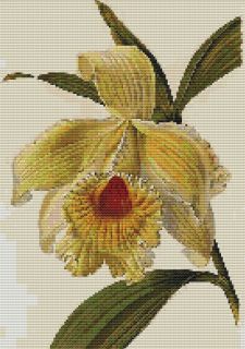  Counted Cross Stitch Pattern 880 Flowers Floral Nature Chart