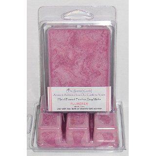 2 Pack Scented Soy Wax Melts Plumeria by The Scented