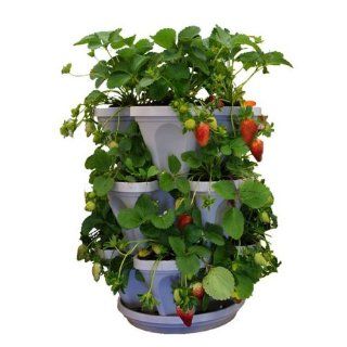 Mr. Stacky 3 Tier Hanging Stacking Planter   Hydroponic