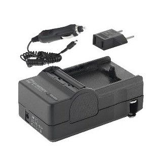  BC 30L Charger   (110/220v with Car & EU adapters)