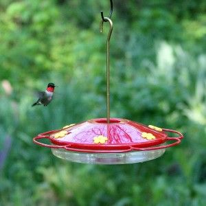 Perky Pet® Oasis Hummingbird Feeder Hang or Pole Mount