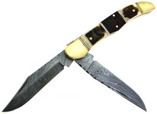  Steel Folding File Work Spine Stag Handle 2 Blade Hunting Knife