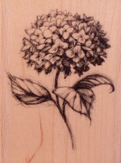 97151 Hydrangea Wood Mounted Inkadinkado Rubber Stamp Flower Pencil