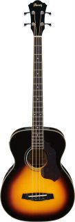 Ibanez SGBE110 vs Acoustic Electric Bass Guitar with Built in Tuner