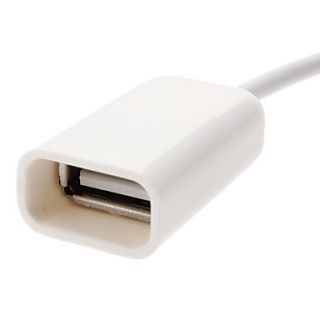 30 Pin Male naar USB vrouwelijke adapter kabel voor iPhone 4, 4S ea