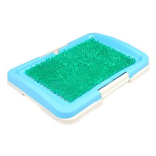  with Plastic Lawn (47 x 34 x 5.5cm), Gadgets