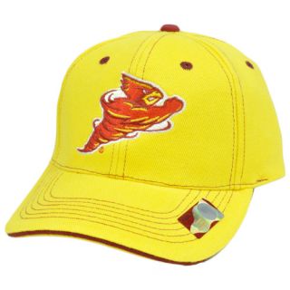 NCAA Iowa State Cyclones Hat Cap Constructed Cotton Adjustable Velcro