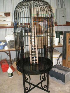 Large USD Black Wrought Iron Parrot Bird Cage on Wheels Domed Round