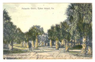 Georgia Tybee Island Palmetto Grove 1909 Postcard GA