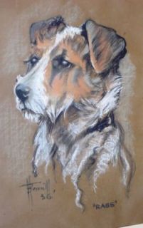  Pastel Painting War Hero Terrier Dog Rags Artist H Bennett
