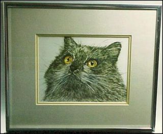  and Framed Signed Limited Edition Print of Cat by Jack Seery