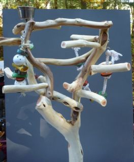 Manzanita Parrot Tree Bird Stand Toy Play Gym Like Java Wood Natural