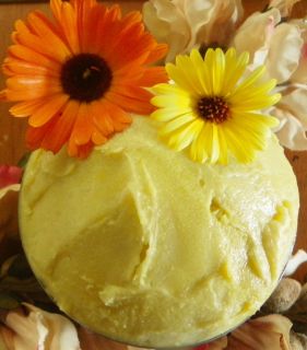 Body Butter Thick Rich Creamy Choose Scent 2oz