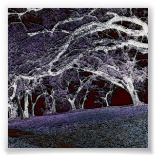 Haunted Forest Mangled Trees at night poster art created by Artist