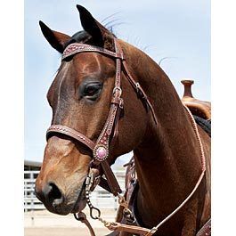 Pretty in Pink Collection Jeffers Equine Breast Collar Headstall