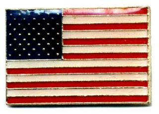 Patriotic American Flag USA Lapel Pins TG4576