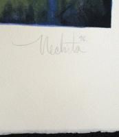 Alexandria Nechita Peace Collector Lithograph Signed Numbered Art Make