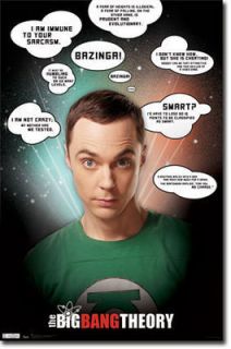 Big Bang Theory Poster Quotes from Sheldon Jim Parsons