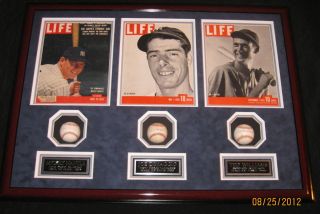 Mickey Mantle Ted Williams Joe DiMaggio signed baseballs framed PSA