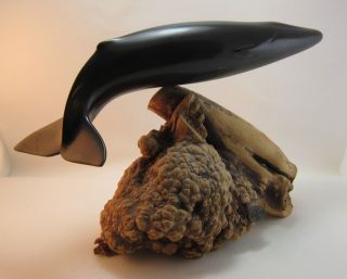John Perry Sculpture Black Whale on Manzanita Burlwood Pellucida Resin Signed  