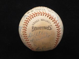 1981 New York Yankees Team Signed Baseball 15 Sigs Yogi Berra Reggie Jackson  
