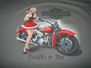 Harley Davidson Kalispell Montana Christmas Mens Gray T Shirt Size