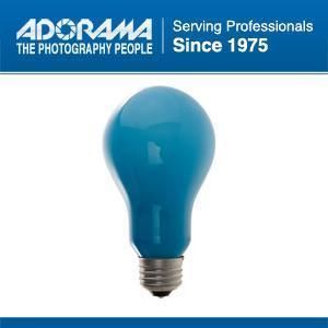 BCA Photoflood Lamp 250 Watts 120 Volt Blue 4800 Degrees Kelvin