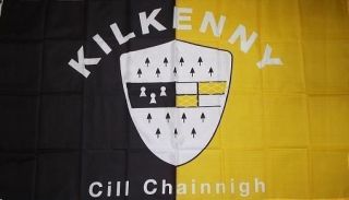 Kilkenny County Ireland Irish Flag 3x5 Historical Banner CILL