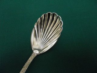 Kirk Son Sterling Silver Repousse Sugar Shell Spoon