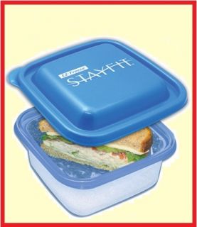 Sandwich Lunch Chiller Plastic Container