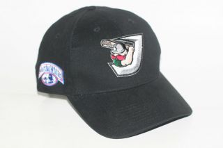 Diamond Jaxx Minor League Baseball Team Adjustable Hat ABC Cap
