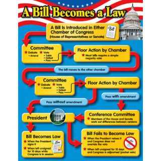 Bill Becomes A Law History Trend Poster Chart New